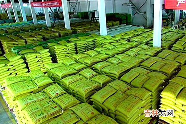 猪饲料代理加盟 猪饲料代理利润大吗