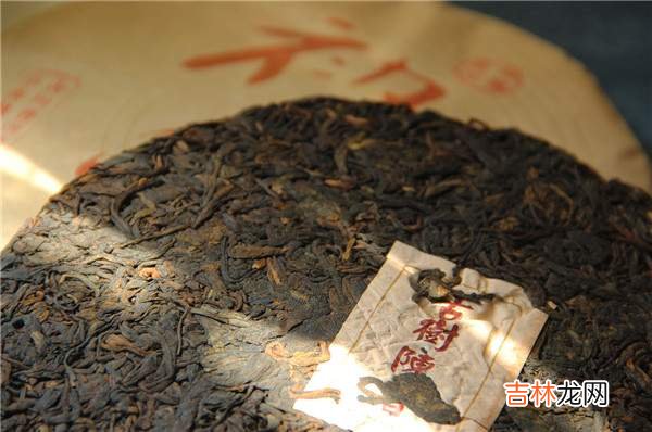 普洱茶的功效与作用是什么茶 普洱茶的功效与作用及食用方法