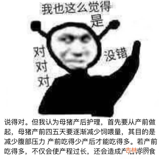 蚌埠 元宇宙