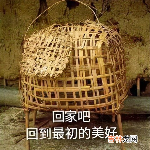 蚌埠 元宇宙