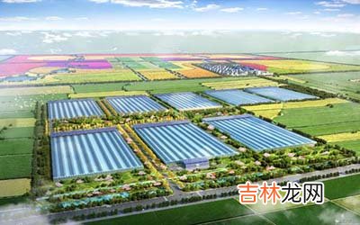 朗朗上口的农业公司名字怎么起