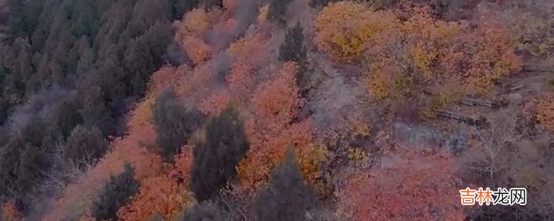 香山在哪里个城市