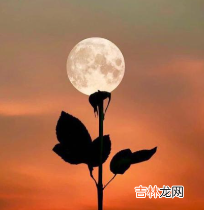 性格最闷骚的十二星座男