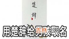 从楚辞名句中给男孩取名