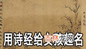 用诗经给女孩起四个字的优雅名字