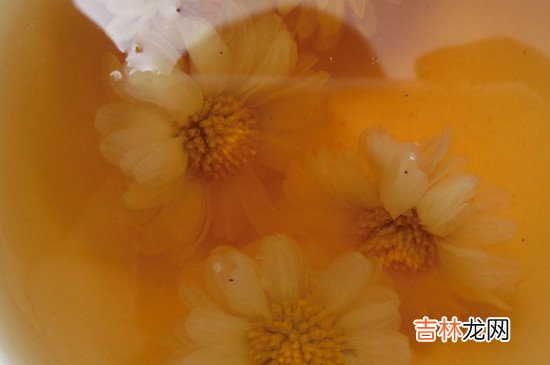 菊花茶能去眼袋吗