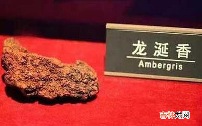 中国十大珍贵药材 第十种很少有人知道