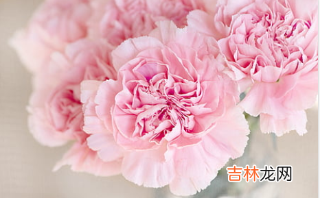 天秤座明星都有哪些？