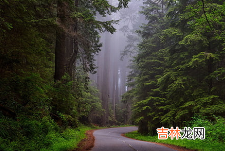 十二星座最恐怖的星座是谁？