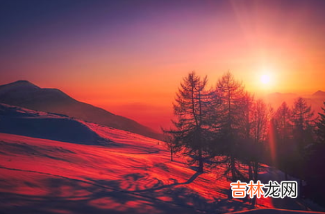十二星座代表符号都有什么