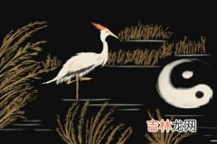 周易测名字算命打分_四绿文曲星是什么星 吉凶 化解