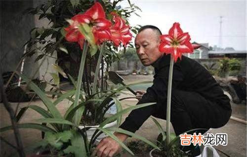 老婆打游戏被别人带走了 老婆被别人玩的心里有过不去的坎怎么办