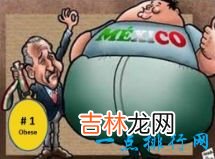 世界上最胖的10个国家排行 美国居然排第二