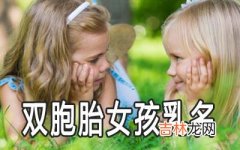 双胞胎女孩带重叠字的乳名怎么起