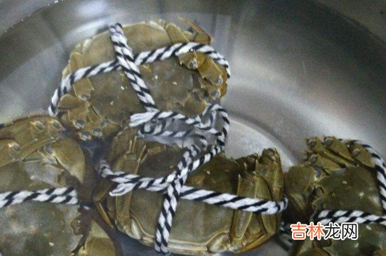清蒸螃蟹如何清洗
