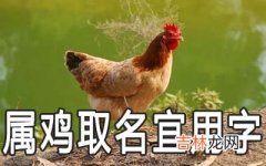 属鸡取名宜用什么字会好命又幸运