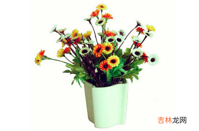 除甲醛十大品牌 什么牌子除甲醛效果最好