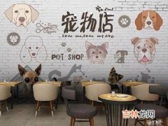 特别一点宠物店名字该怎么取