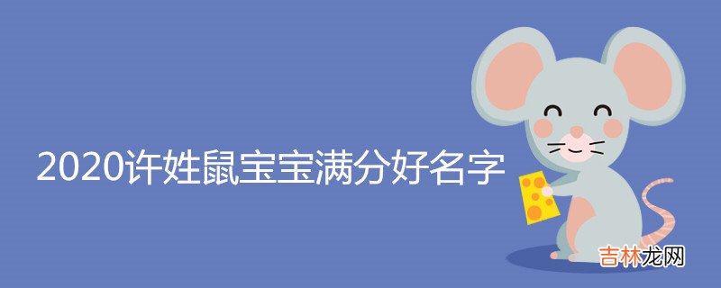 2020许姓鼠宝宝满分好名字