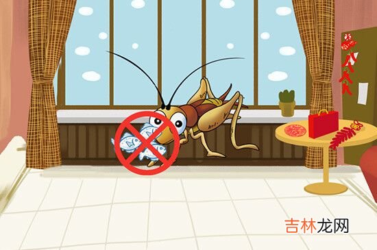 蟋蟀吃什么