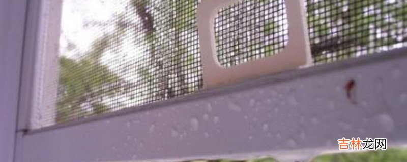 厨房纱窗清洗的妙招