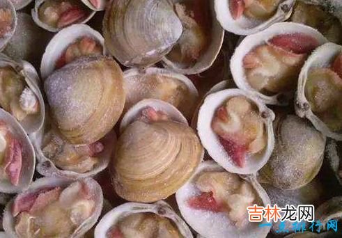 寿命最长的动物 灯塔水母“永生”