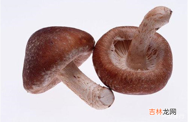 碱性食物有哪些 十大碱性食物排名