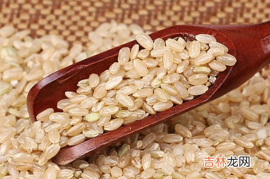 brown rice是什么米