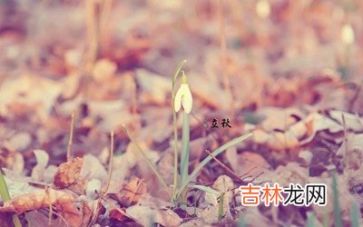 立秋是什么意思，2020年立秋出生的男孩缺金起名字