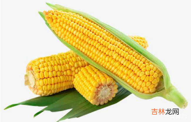 热量最低的主食排行 低热量主食一览表