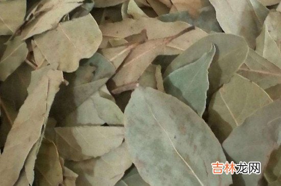 香叶可以去螨虫吗