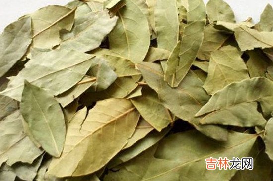 香叶可以去螨虫吗