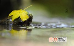 2020鼠年处暑出生的男孩起名，处暑下一个节气是什么？