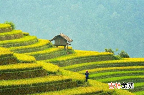 芒种是几月几日