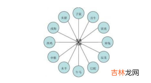 十二生肖属相婚配宜忌表大全