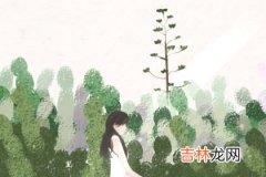 黑河算命准的在哪_命里七杀女配什么男会幸福