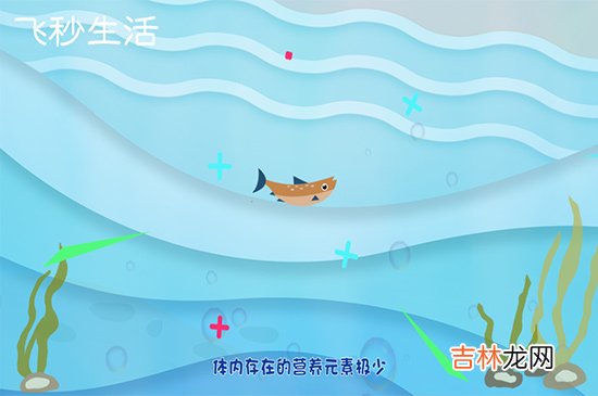 清道夫鱼为什么不能吃