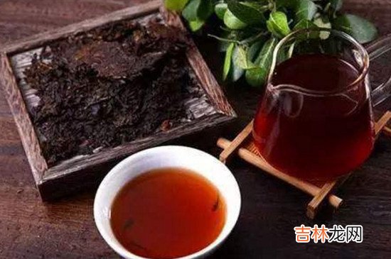 普洱生茶和熟茶怎么喝