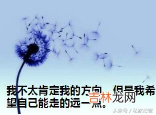离婚女人再婚最想要的是什么 离婚女人再婚的顾虑