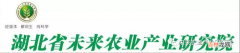 树林养鸡用什么圈 树林养鸡技术视频播放