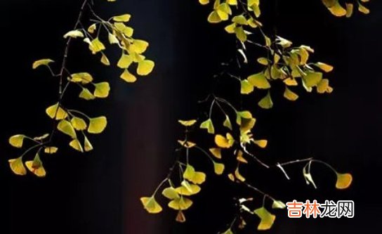 2020年9月7号七月二十生的男宝宝命运好吗,怎么八字起名