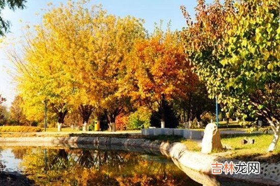 适合七八月旅游的城市