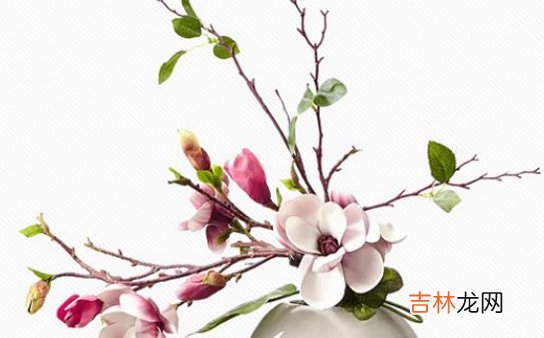 2020年9月1号七月十四出生的女孩是什么命,生辰八字起名