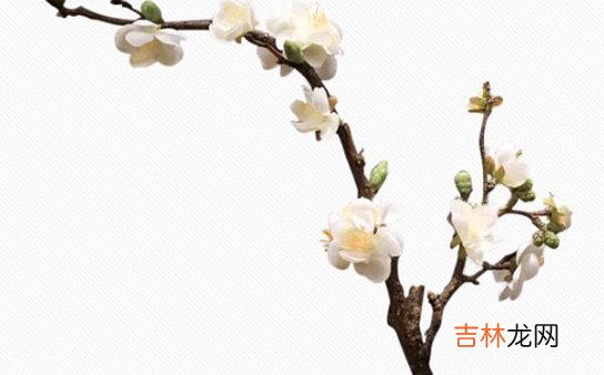 2020年9月2号七月十五出生的女孩是什么命,起什么名字高分