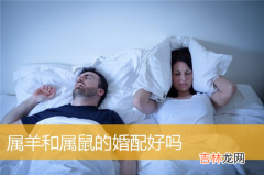 羊和鼠相配婚姻怎么样？ 在一起好吗？