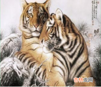 一起来看看蛇虎属相合吗