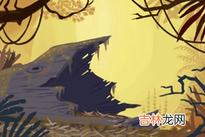 漯河算命哪里师父准_寻龙点穴 龙脉人首有五格