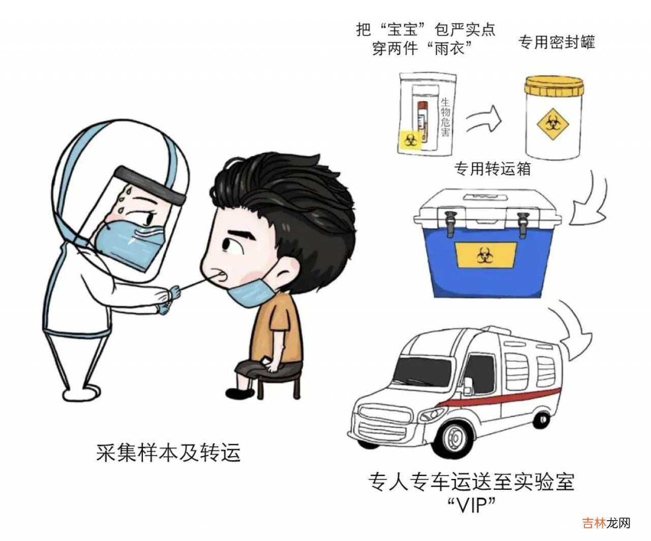 检索报告题目 检索报告是什么意思