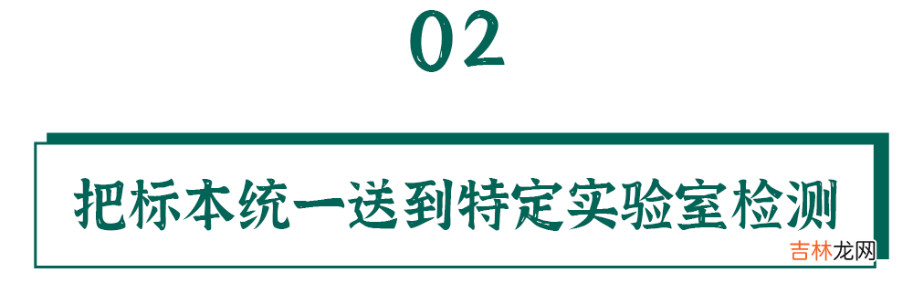 检索报告题目 检索报告是什么意思