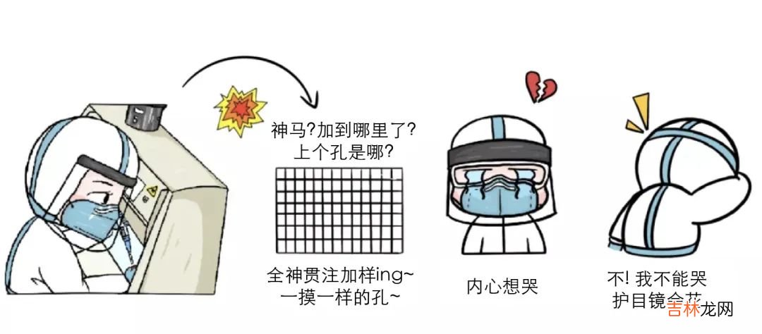 检索报告题目 检索报告是什么意思